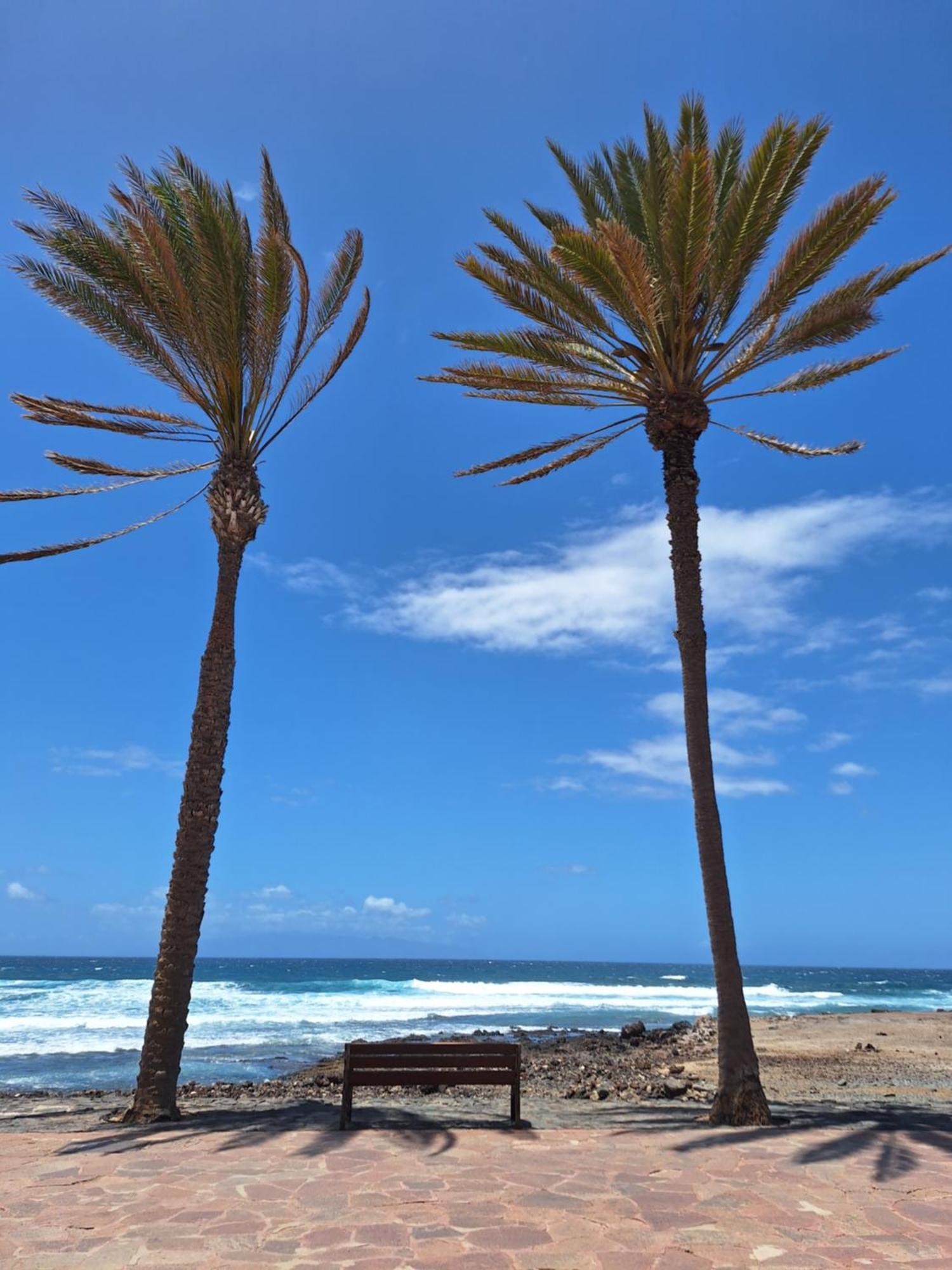 El Cardon * Arona (Tenerife)